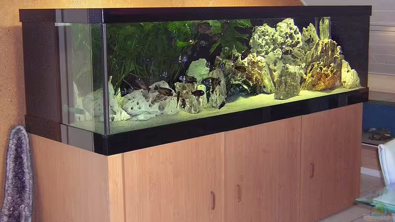 Aquarium Hauptansicht von Becken 256 von Schilling (1)