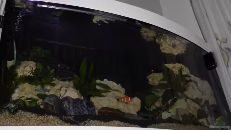 Aquarium Hauptansicht von Becken 25630 von Gerhard Zechner (1)