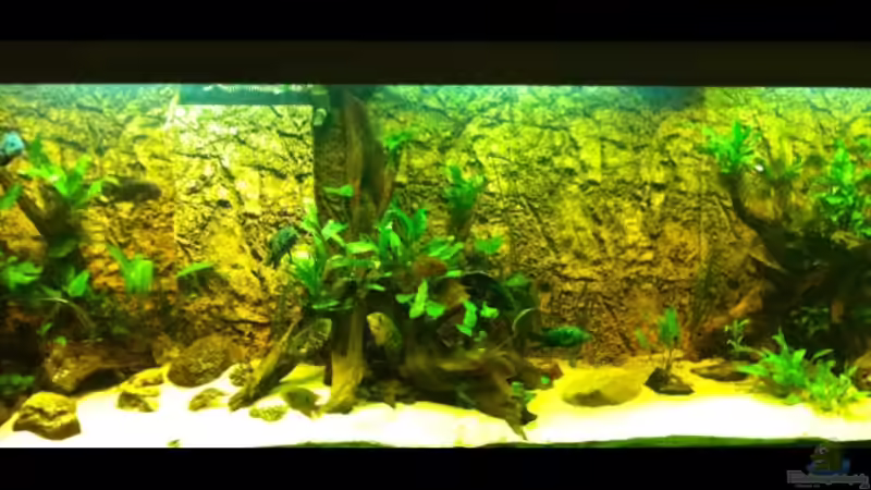 Aquarium Hauptansicht von Becken 25933 von American Stone (1)