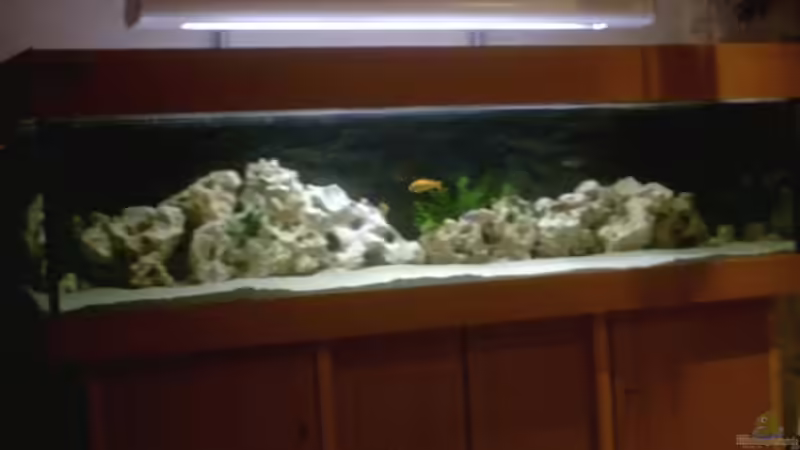 Aquarium Hauptansicht von Becken 2615 von Andreas Scheer (1)