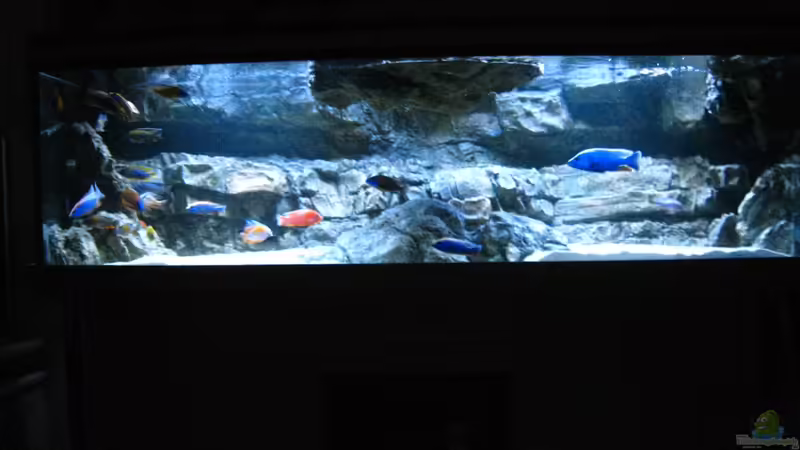 Aquarium Hauptansicht von Becken 26682 von airborn28 (1)