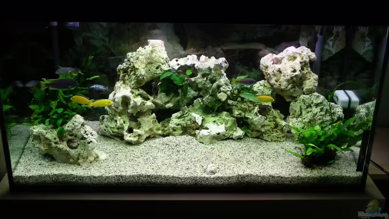 Aquarium Hauptansicht von Becken 2677 von Jonas Hegemann (1)