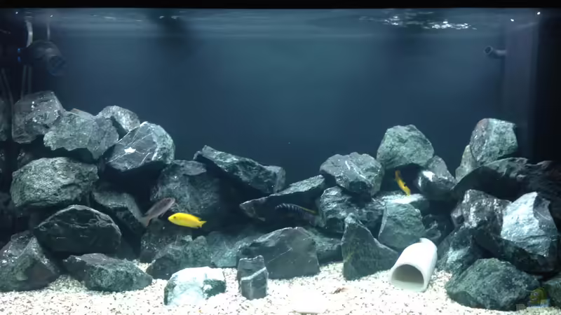 Aquarium Hauptansicht von Becken 26811 von Anboy (1)