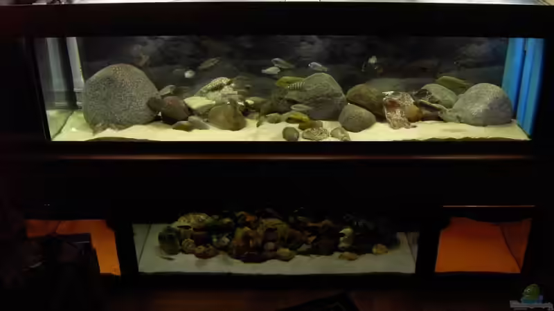 Aquarium Hauptansicht von Becken 2682