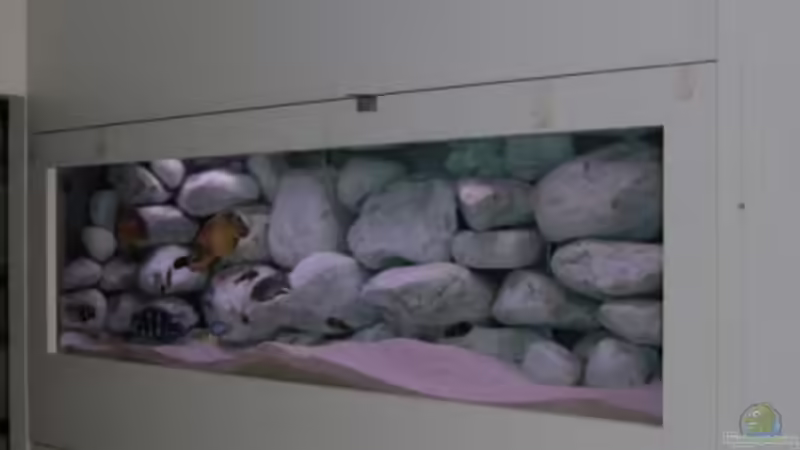 Aquarium Hauptansicht von Becken 271 von Manfred Miller (1)