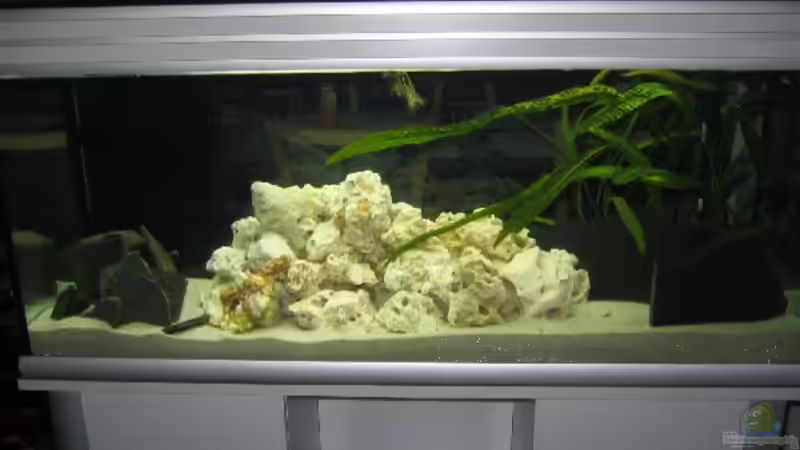 Aquarium Hauptansicht von Becken 2725 von Timo Pösl (1)