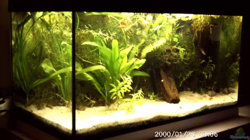 Aquarium Hauptansicht von Becken 2761