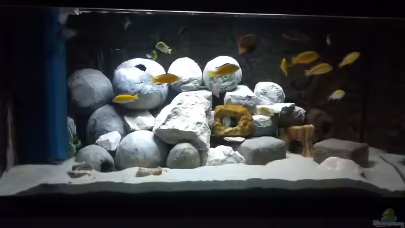 Aquarium Hauptansicht von Becken 28171