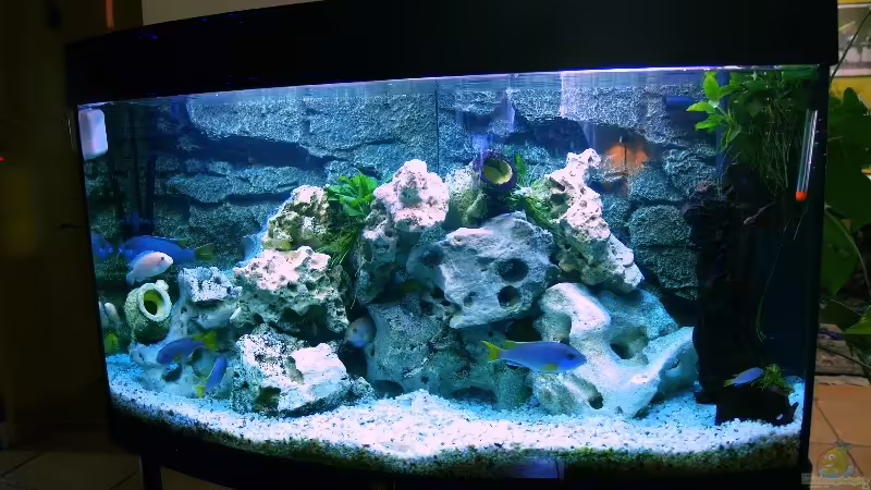 Aquarium Hauptansicht von Becken 2867