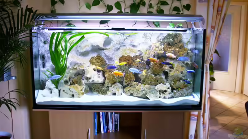 Aquarium Hauptansicht von Becken 2878