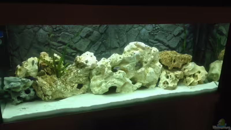 Aquarium Hauptansicht von Becken 28877