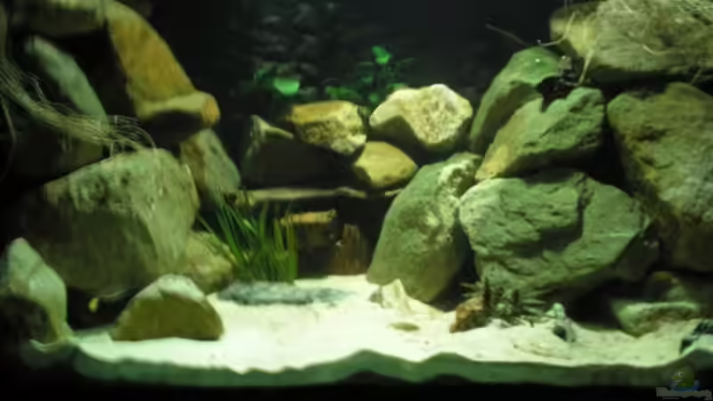 Aquarium Hauptansicht von Becken 2888