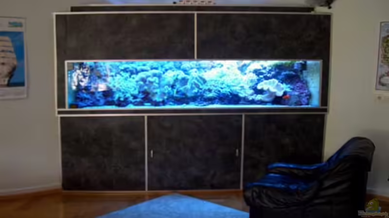 Aquarium Hauptansicht von Becken 2922 von Andreas Grycko (1)