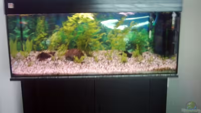 Aquarium Hauptansicht von Becken 2923 von Heiko Rodegast (1) (2)