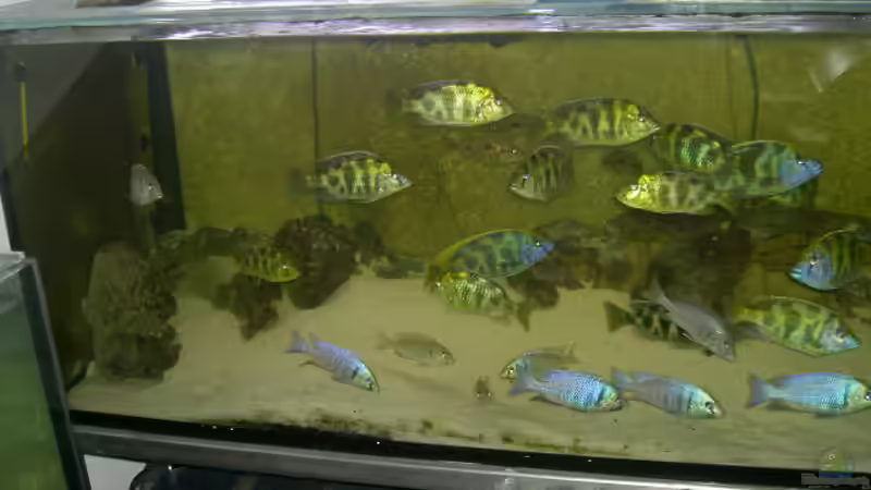 Aquarium Hauptansicht von Becken 2930