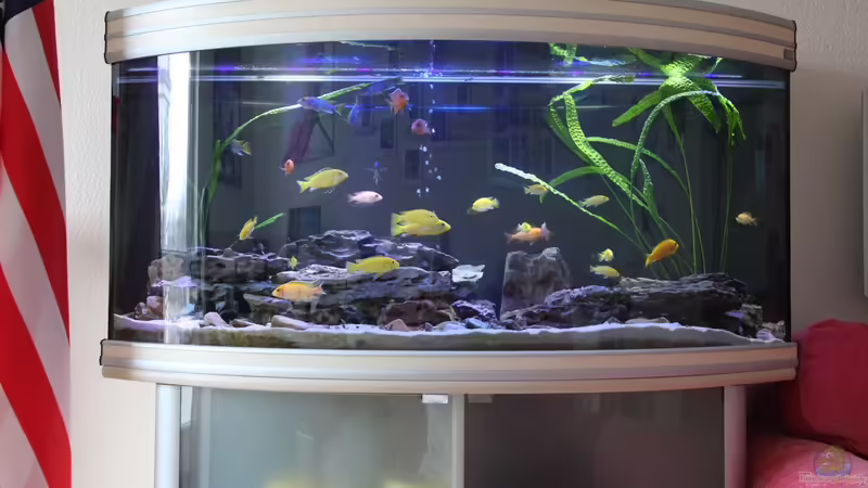 Aquarium Hauptansicht von Becken 29447