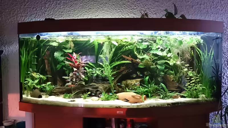 Aquarium Hauptansicht von Becken 29580