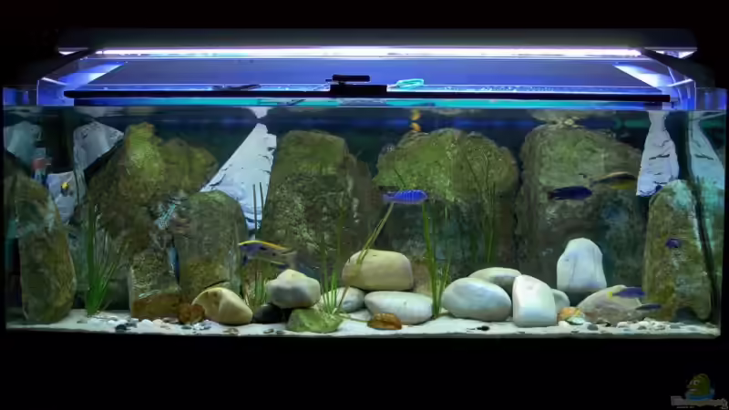 Aquarium Hauptansicht von Becken 2959