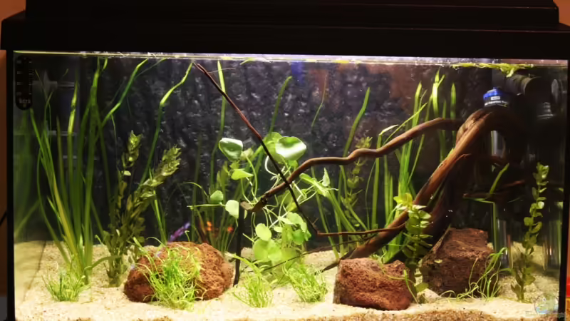 Aquarium Hauptansicht von Becken 2973