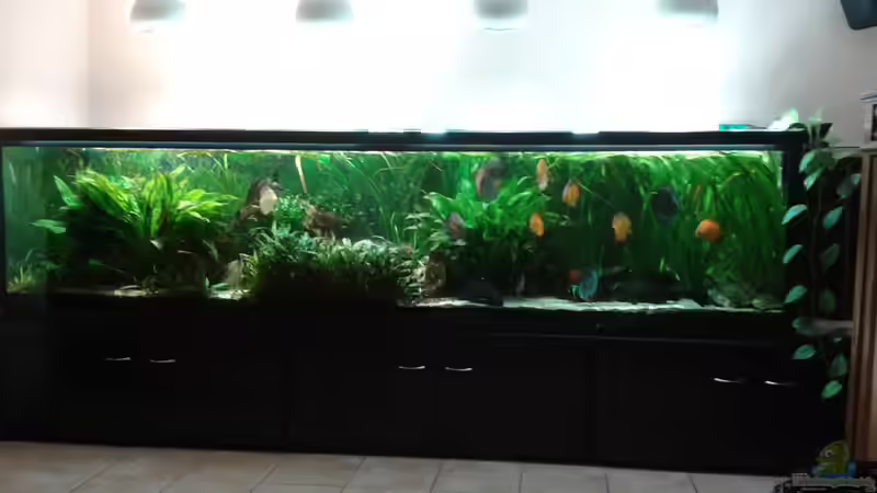Aquarium Hauptansicht von Becken 30006