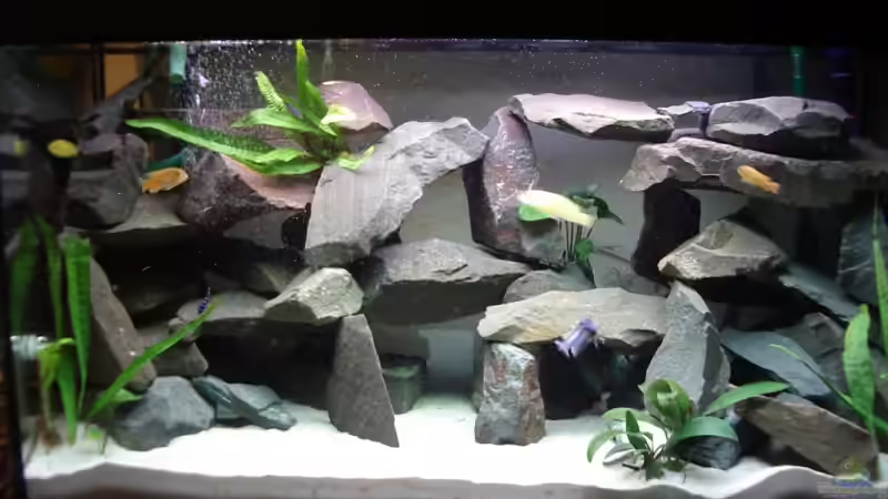 Aquarium Hauptansicht von Becken 3005