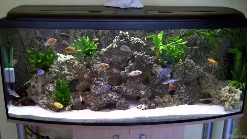 Aquarium Hauptansicht von Becken 3019 von Christian Dresel (1) (2) (6)