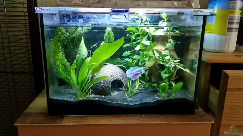 Aquarium Hauptansicht von Becken 30618 von Betta Ufuk (1)