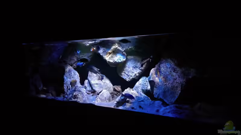 Aquarium Hauptansicht von Becken 30628