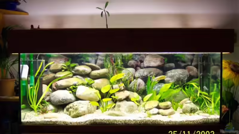 Aquarium Hauptansicht von Becken 308