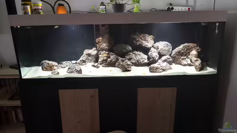 Aquarium Hauptansicht von Becken 31478