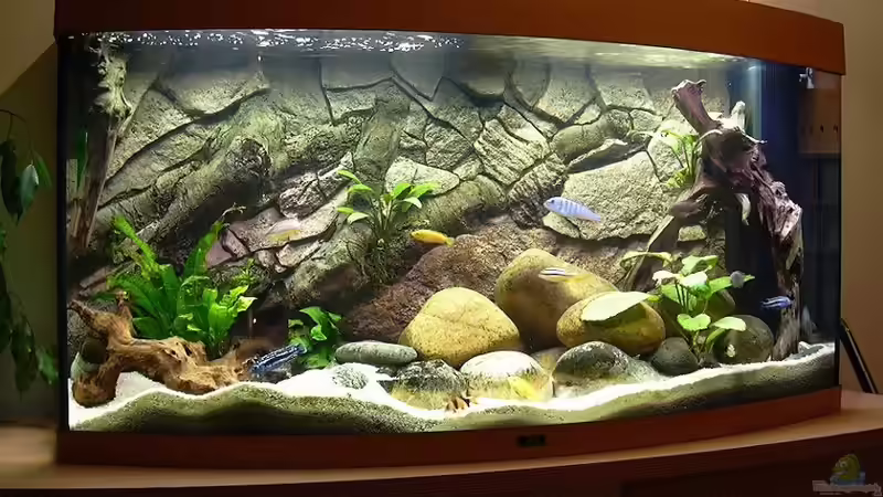 Aquarium Hauptansicht von Becken 320 von Richard Frantzen (1)