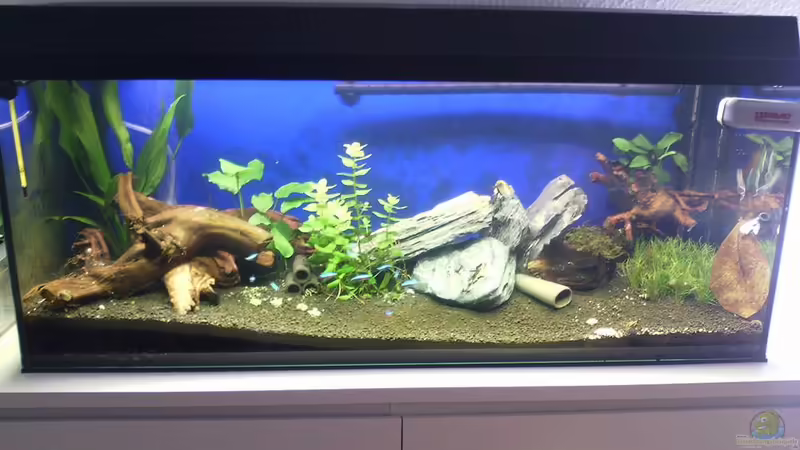 Aquarium Hauptansicht von Becken 32068