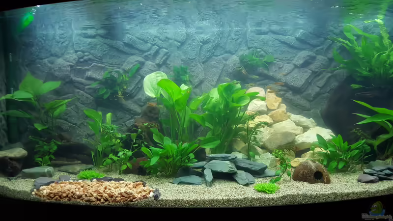 Aquarium Hauptansicht von Becken 32157