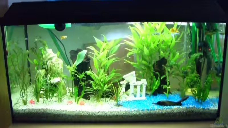 Aquarium Hauptansicht von Becken 3220 von David Will (1) (2)