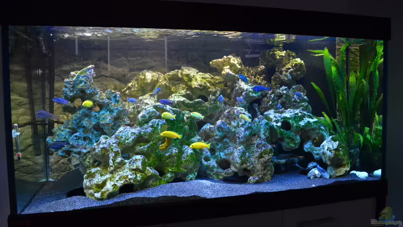 Aquarium Hauptansicht von Becken 32393