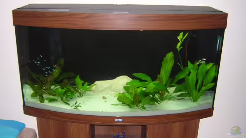 Aquarium Hauptansicht von Becken 3242 von Michael Stickel (1)