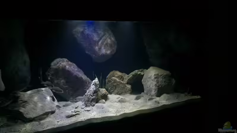 Aquarium Hauptansicht von Becken 32516