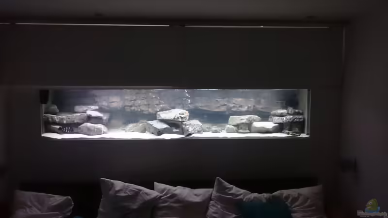 Aquarium Hauptansicht von Becken 32521 von Jens Teichert (1)