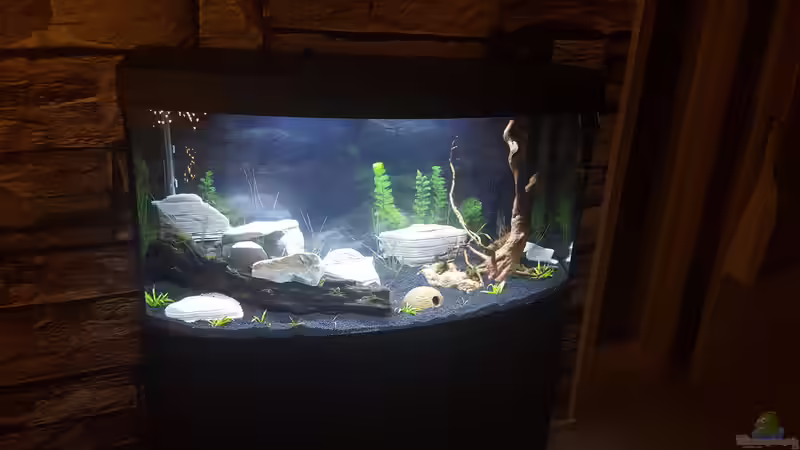 Aquarium Hauptansicht von Becken 32693 von Martin J.