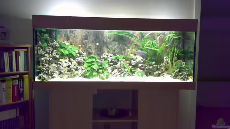 Aquarium Hauptansicht von Becken 3276