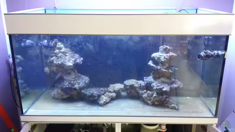 Aquarium Hauptansicht von Becken 32888 von Kevin78 (1)