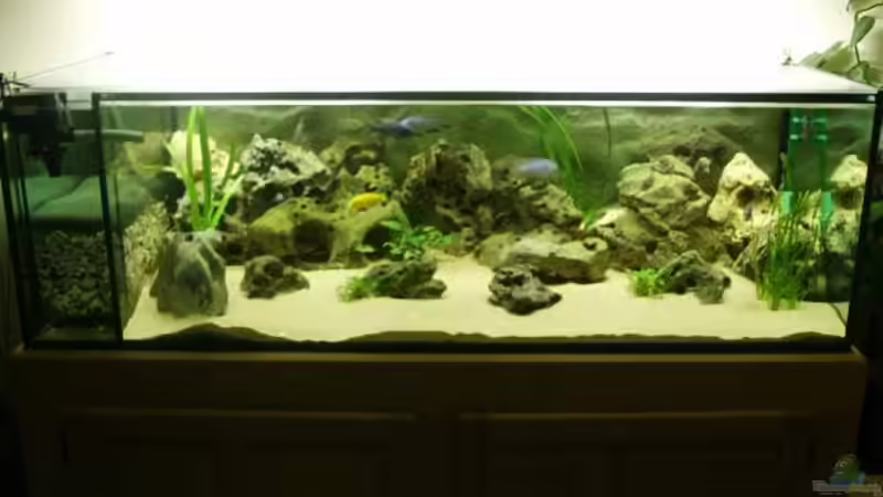 Aquarium Hauptansicht von Becken 329