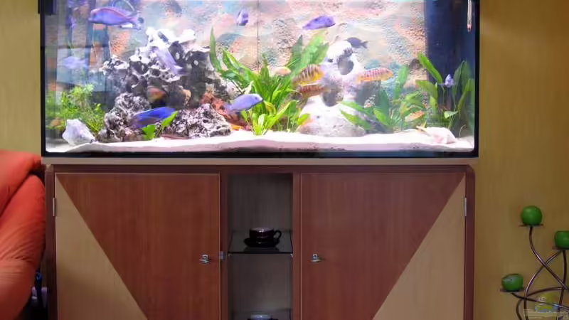 Aquarium Hauptansicht von Becken 332 von Frank Schmitt (1)