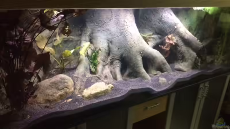 Aquarium Hauptansicht von Becken 33220 von Ralf Huber