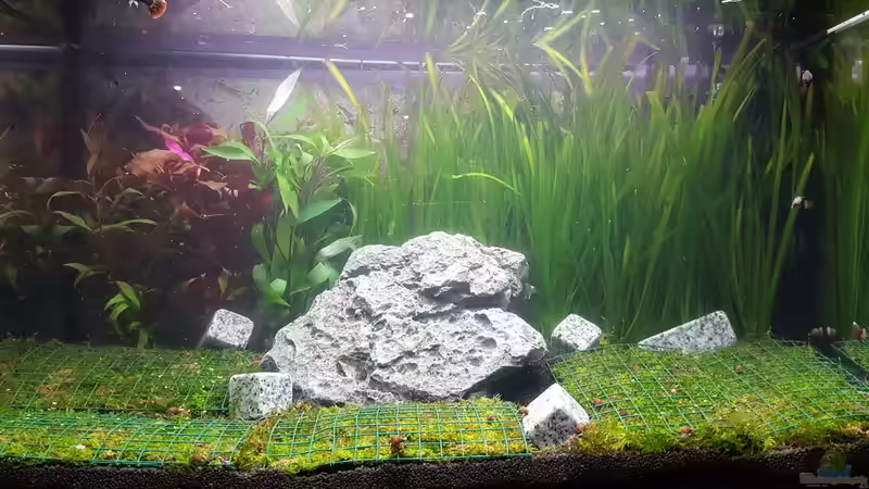 Aquarium Hauptansicht von Becken 33270