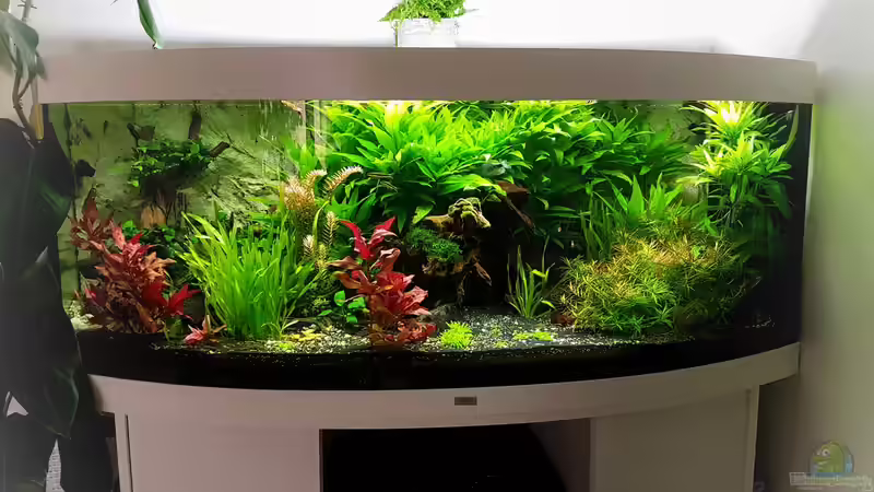 Aquarium Hauptansicht von Becken 33720 von H4rdei (1)