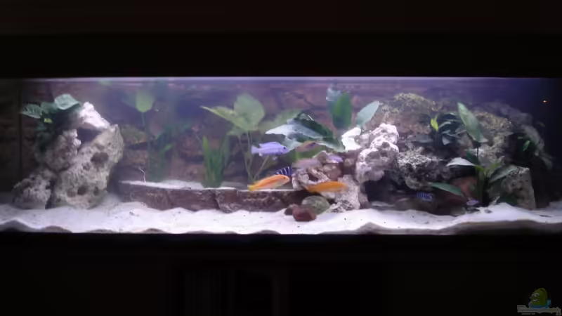 Aquarium Hauptansicht von Becken 3389