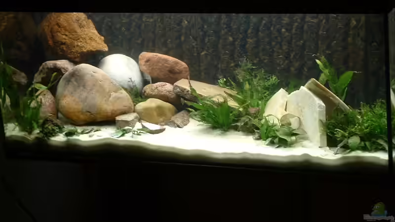 Aquarium Hauptansicht von Becken 339 von Matthias Hellberg (1)