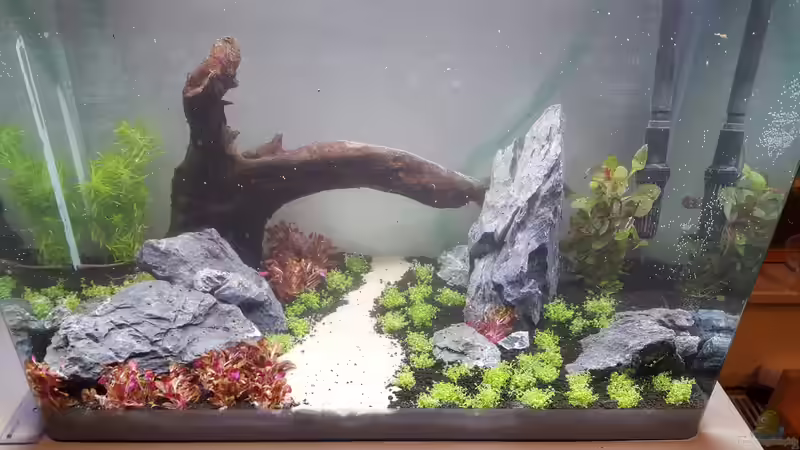 Aquarium Hauptansicht von Becken 34081 von Florian Thomas