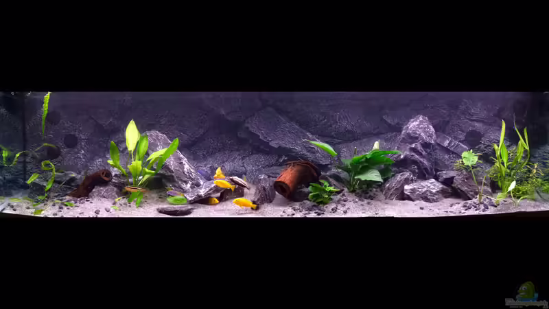 Aquarium Hauptansicht von Becken 34206 von Boeri (1)